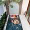 Отель Astera Villa Seminyak by Ini Vie Hospitality