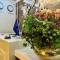 Отель Hotel Caravan Tashkent