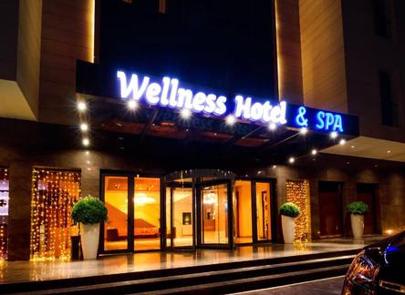 Отель Wellness Hotel and Spa
