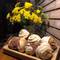Отель Bloom Boutique Hotel