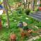 Отель Hon Rom Central Beach Resort