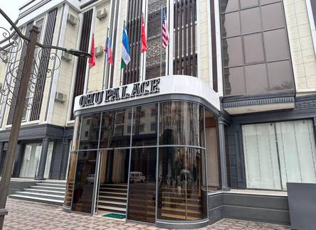 Отель Ohu Palace