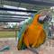 Отель Birds Resort Hambantota