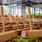 Отель Wink Hotel Saigon Centre
