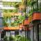 Отель Chi House Danang Hotel & Apartment