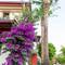 Отель Portakal Hotel Dalyan
