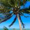 Отель Karibu Beach Resort