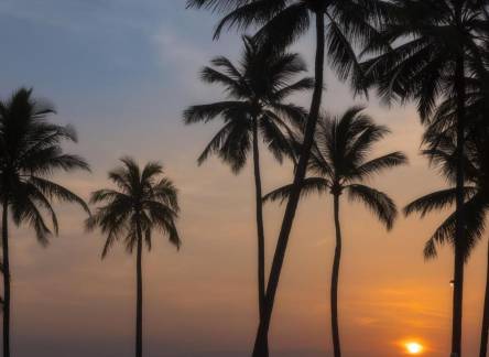 Отель JW Marriott Khao Lak Resort Suites