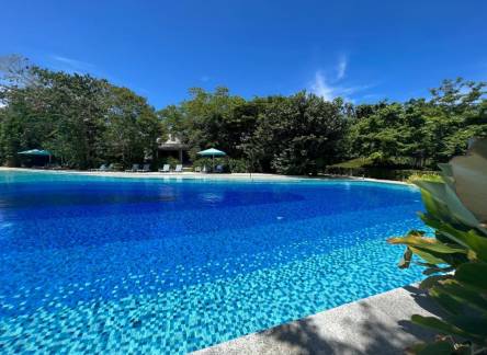 Отель Tambuli Seaside Resort and Spa