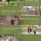 Отель TheWakanda Resort A Pramana Experience