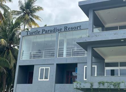 Отель Turtle Paradise Resort