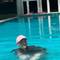 Отель Turtle Paradise Resort