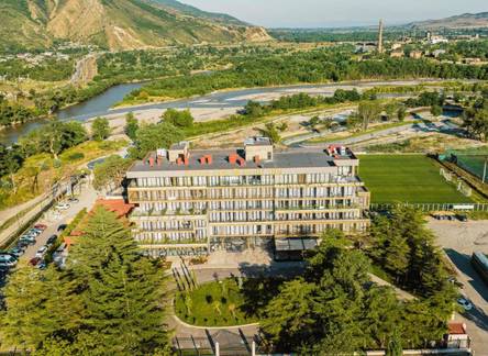 Отель Gori Inn