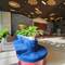 Отель Astica Hotel Nha Trang