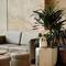 Отель Elite Hotel Nha Trang