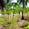 Отель Sands Garden Hotel Thoddoo