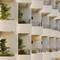 Отель Ace Hotel & Swim Club Athens