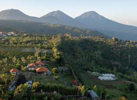 Отель Munduk Tentrem Resort