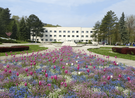 Отель Institute Niska Banja