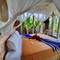 Отель Villa Alisha Pererenan Canggu