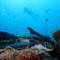 Отель Manta Reserve