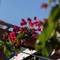 Отель Vaya Suites by Omilos Hotels