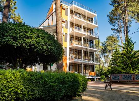 Отель Buxus Hotel Shekvetili