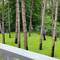 Отель Buxus Hotel Shekvetili