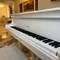 Отель ILK Inn Hotel