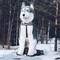Отель Husky Moa (Дом Хаски и Дом Полярника)