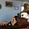 Отель Cocolagoon Eco Resort Nilaveli