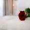 Отель Petit Palace Suites Hotel