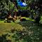 Отель GreenWood Cottages Merisi