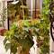 Отель Moss Art Boutique Hotel
