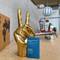 Отель Four Points by Sheraton Hong Kong, Tung Chung