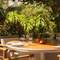 Отель Banyan Tree Dubai