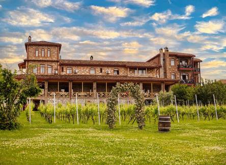 Отель Schuchmann Wines Chateau & SPA