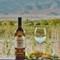 Отель Chateau Mosmieri Hotel & Winery