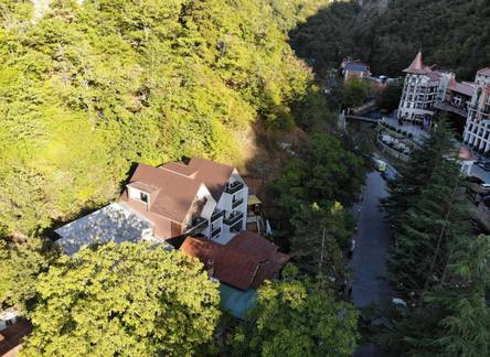 Отель Borjomi UnderWood Hotel