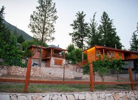 Отель Trinitys Forest Bungalows in Mountain