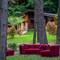 Отель Bioli Wellness Resort