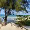 Отель Kijani Beach Villas