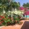 Отель Areca Resort Cay Cau