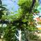 Отель Gia Thanh Phu Quoc Guest House