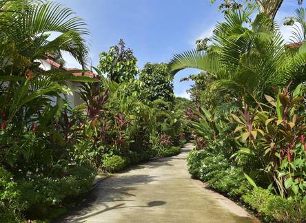 Отель Rainforest Resort