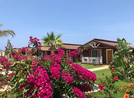Отель Sedir Park Bungalow Hotel