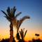 Отель Riad Al Mendili Kasbah Private Resort & Spa