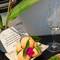 Отель Nesta Hoian Resort & Spa