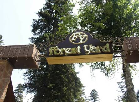 Отель Forest Yard
