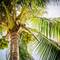 Отель Wimal Wood Stock Surf House